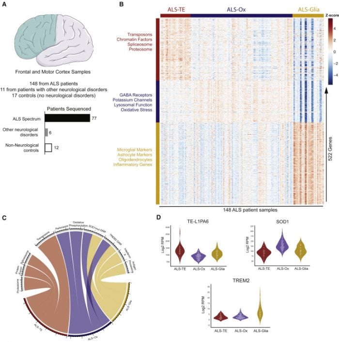 NEWS: Target ALS Biosample Recipients Identify Three Distinct Subtypes of ALS