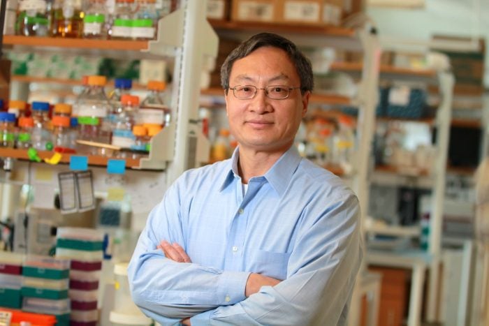 Under the Microscope: Fen-Biao Gao ofUMass Medical School Explains His Now-Funded Project Targeting Biomarkers and Disease Modifiers for ALS and FTD