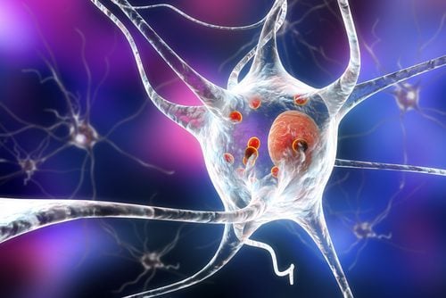 Similarities in Neurodegenerative Disorders May Lead to New, Common Therapies