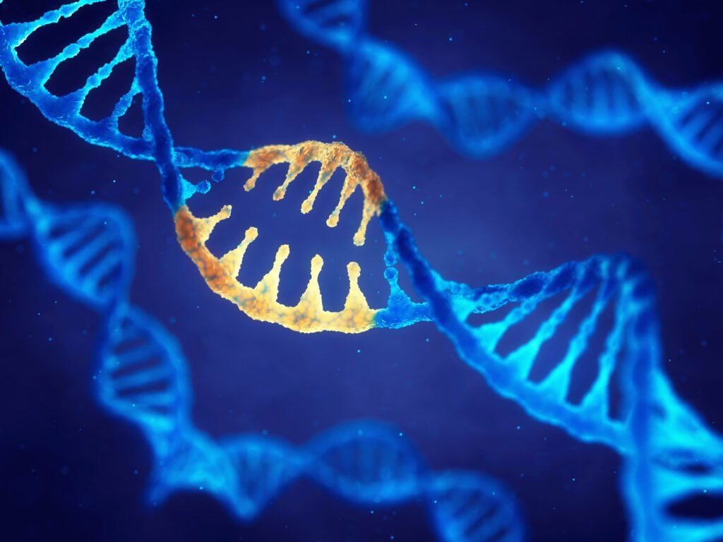 double helix DNA molecule