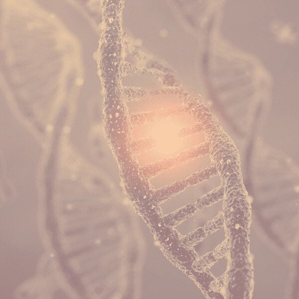 How FUS Fits into the Bigger RNA Protein Picture