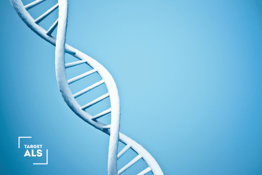 ALS Genetic Mutations Explained