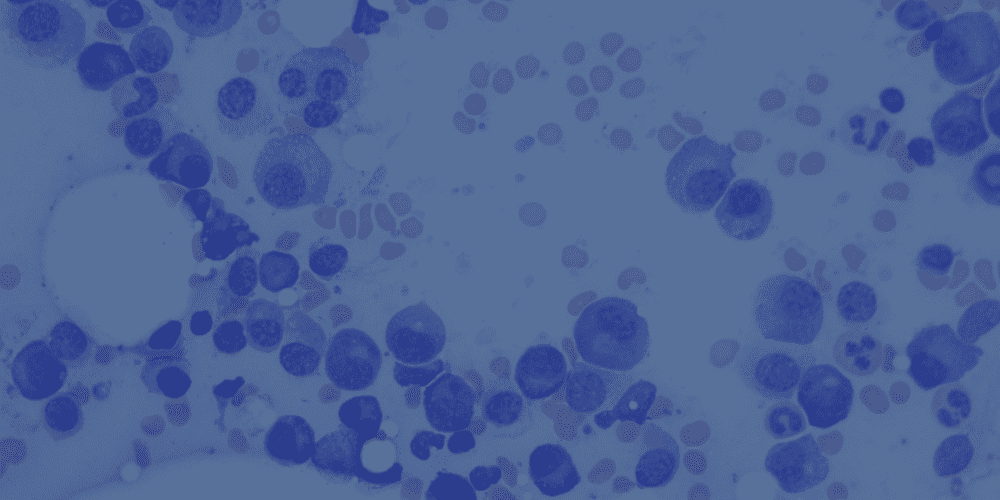 Breaking Down Barriers in ALS Research: New Validated pTDP-43 Antibody Now Available Globally