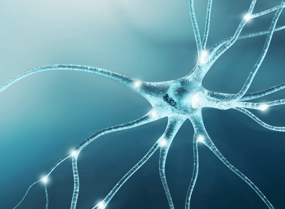 Mind the Gap: Sabine Liebscher is Connecting the Dots of ALS