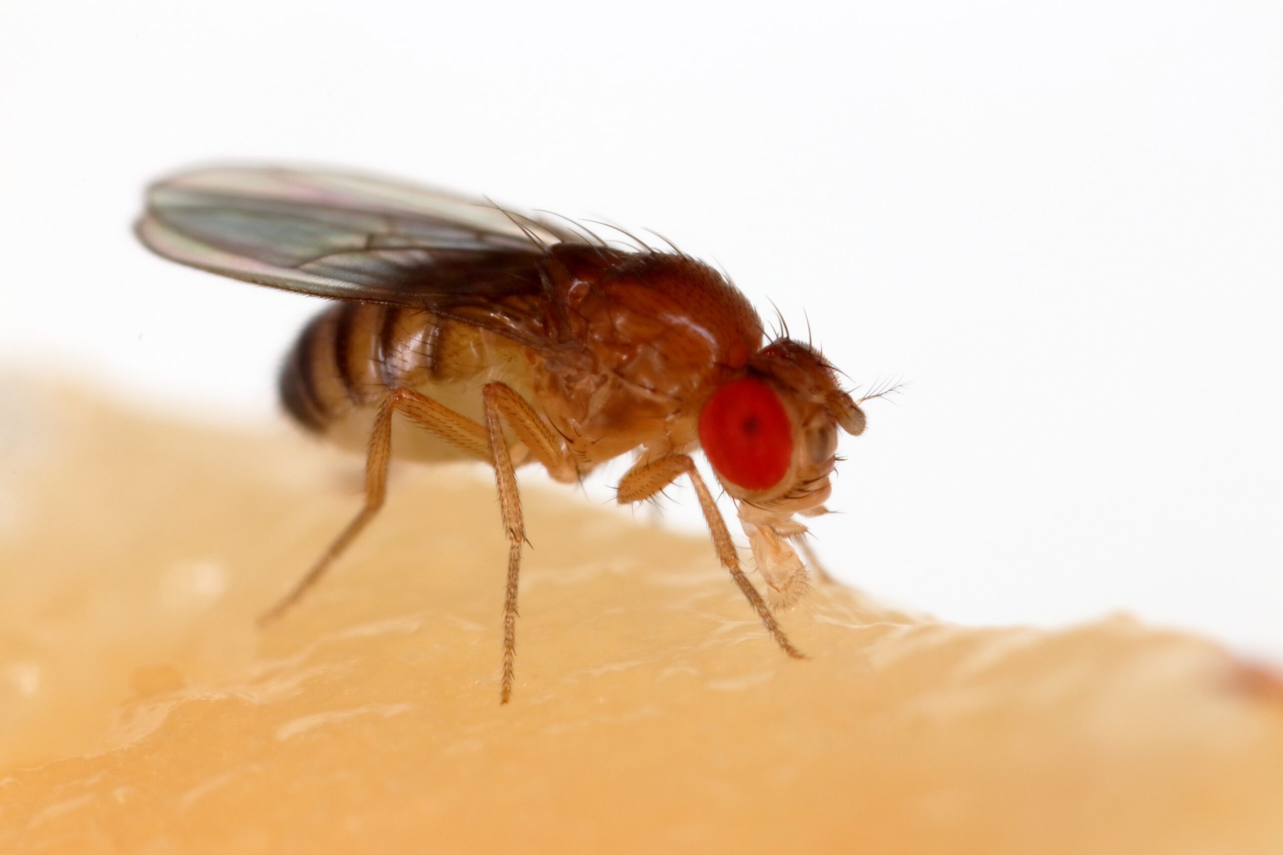 Science on Target March 2025 Newsletter